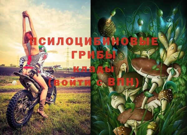 альфа пвп Верхний Тагил