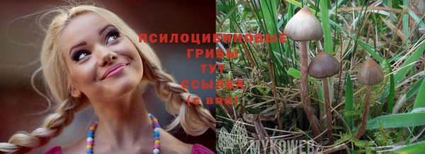 твердый Верея