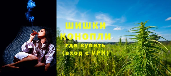 сатива Рославль