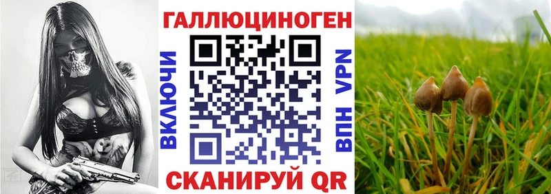 Псилоцибиновые грибы MAGIC MUSHROOMS Вяземский